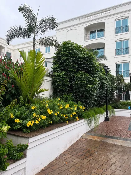 A rainy day site visit to one of our large apartment projects. The rain makes everything look fresh and alive, from the blooming yellow flowers to the tall palms and dense green hedges.