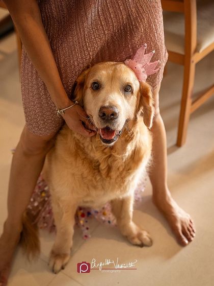 Pragalbh - Fine Art Pet Photography Family & Me photo 32