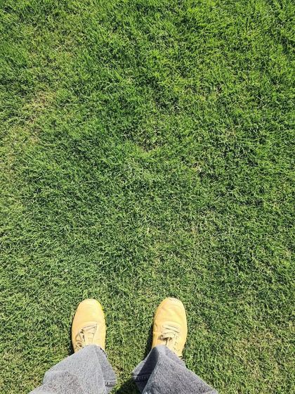 Delhi Gardner - Full-Service Landscaping Premium Lawn & Turf Solutions photo 32