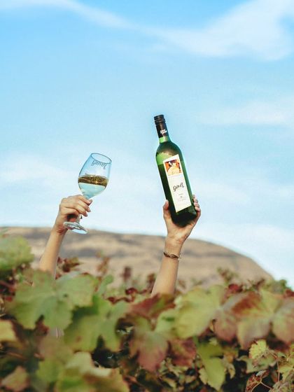 A toast to our Viognier, held high against the sky amidst the vines. We are one of the few Indian wineries to produce this aromatic varietal, and we invite you to try this must have wine during your visit.