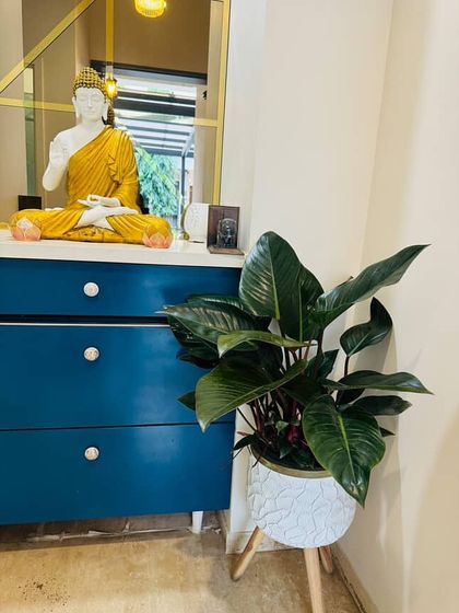 Finding the perfect plant for the perfect spot is key. This Philodendron Green Congo, with its large, glossy leaves, fits beautifully next to this blue console table and Buddha statue, creating a peaceful and stylish vignette.
