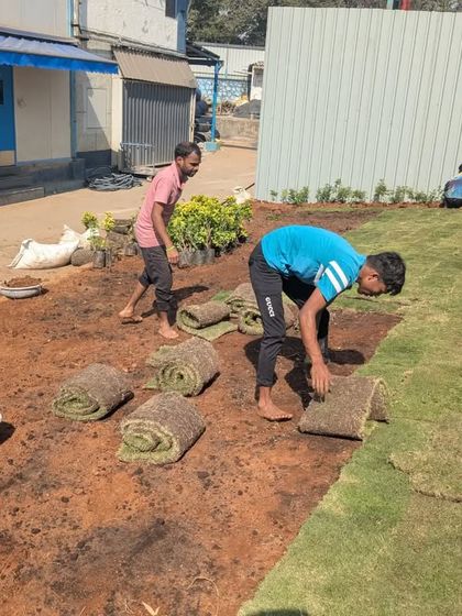 Large-Scale Lawn Installation photo 36