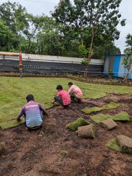 Large-Scale Lawn Installation photo 26