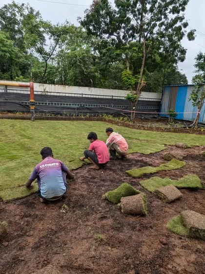 Three of our workers lay turf in unison on a large plot, showcasing our team's coordinated effort.