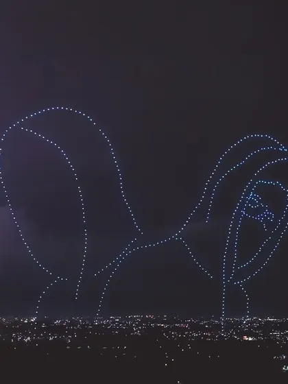 Pushing the boundaries of a live show with a spectacular drone performance during Alan Walker's tour. Hundreds of drones lit up the night sky over Bengaluru, creating breathtaking formations and adding a layer of technological magic to the music.
