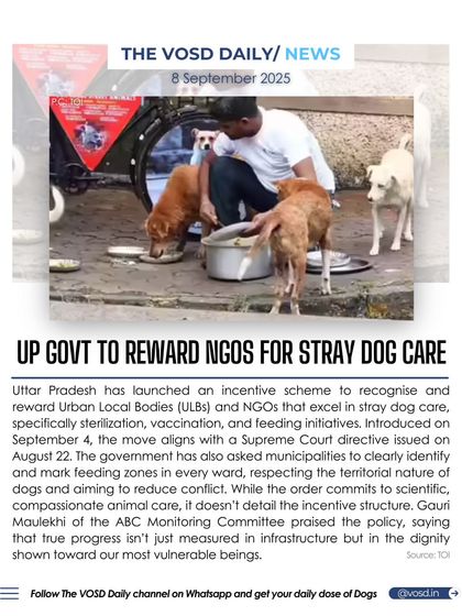 The Uttar Pradesh government has launched a scheme to reward NGOs and Urban Local Bodies for excellence in stray dog care, including sterilization and feeding initiatives. This move aims to promote compassionate animal management.