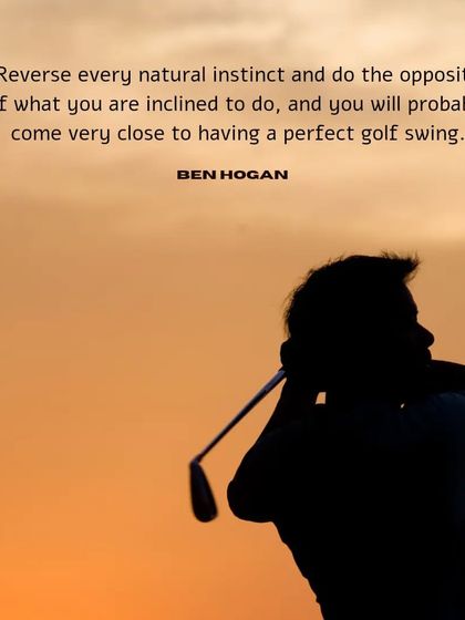 The 9 Aces Experience photo 18