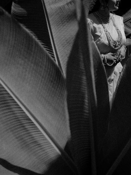 An artistic black and white shot peeking through giant leaves. This creative framing adds a natural, organic element and a sense of mystery to the bridal portrait.