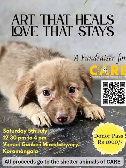 Charlie's Animal Rescue Centre - Community Outreach & Education Community Fundraising Events photo 10