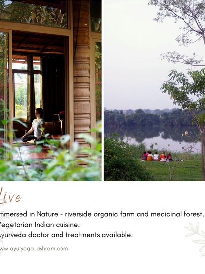 Live immersed in nature. Our ashram offers a complete experience with riverside views, organic vegetarian cuisine, and authentic Ayurvedic treatments, all designed to promote holistic well being.