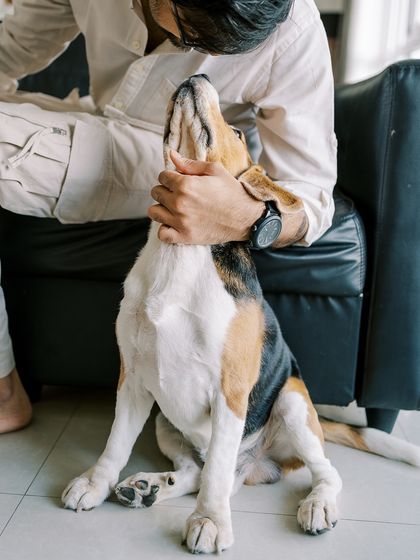 A quiet moment between a man and his beagle. Including pets in at-home sessions helps capture the complete family dynamic.