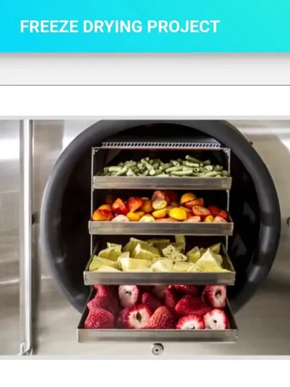 A look inside a freeze-drying machine, where fresh fruits and vegetables are placed on trays to have their moisture removed, locking in nutrients and flavor.