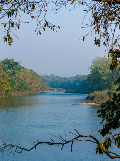 A view of the river in Bardiya National Park, framed by tree branches.