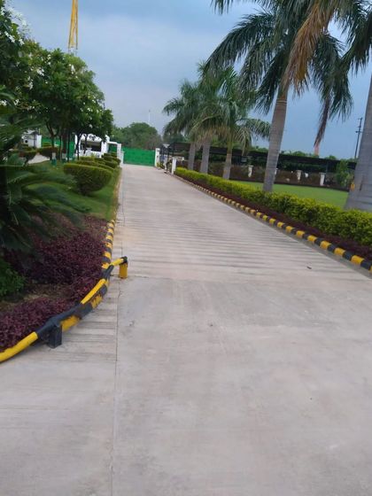 The driveway of a large property lined with manicured hedges and mature palm trees. This classic and elegant approach to landscape design creates a grand sense of arrival.