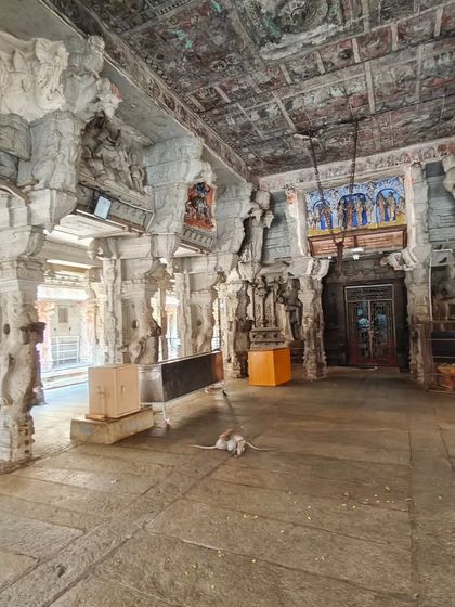 Sneha Kappanna - Theatre, Storytelling & Workshops Stories of Our Land: Cultural Explorations photo 10