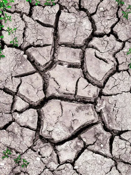 I find beauty even in cracked, dry earth. This top-down shot focuses on the abstract patterns and textures created by the drought, with small green plants showing signs of life. It's a different kind of nature photography.