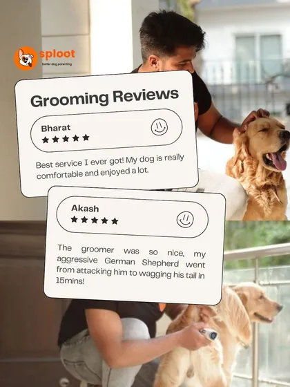 Don't just take our word for it. Our community of dog parents consistently tells us how comfortable their dogs feel, even the anxious ones. From German Shepherds to playful Goldens, we turn grooming from a chore into a positive experience.