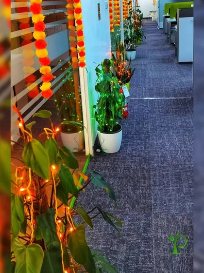 Plants can be part of any celebration. Here, we decorated office plants with fairy lights to add to the festive atmosphere during Diwali, making the festival of lights even more joyous.
