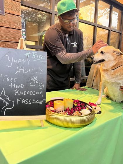 Tails of the City - Pet Spa & Creative Styling Join the Fun: Offers & Events photo 5