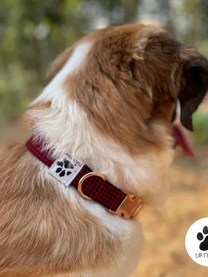 My red wool check collar with a rose gold metal buckle. It's a perfect blend of cozy winter style and elegant hardware.
