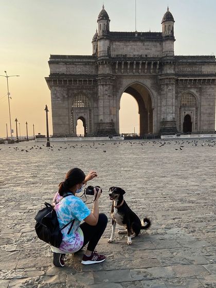 Behind the scenes of the charity calendar shoot, capturing a portrait of an Indie dog in front of the Gateway of India.