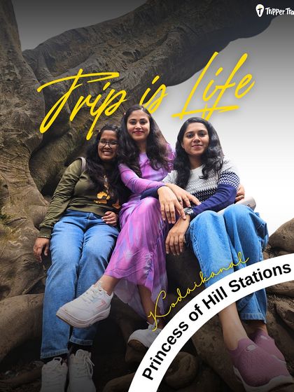 "Trip is Life." Three women sit together on the roots of a giant tree in Kodaikanal, the Princess of Hill Stations. This is what pure friendship and travel joy looks like.