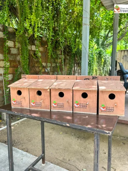 A row of our custom-made nest boxes, ready for installation. By providing these homes, we are taking a proactive step to bring the cheerful chirping of sparrows back to our cities.