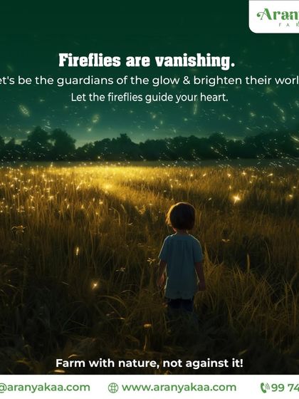 Fireflies are vanishing. I believe in being guardians of the glow. My philosophy is to farm with nature, not against it, to protect such delicate ecosystems.