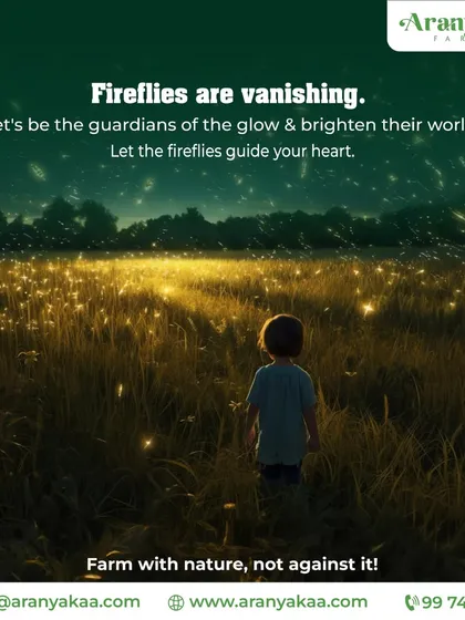 Fireflies are vanishing. I believe in being guardians of the glow. My philosophy is to farm with nature, not against it, to protect such delicate ecosystems.