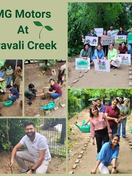 A collage celebrating the MG Motors team, who braved the rain to plant 100 native Aravali saplings like Gangeti and Marodphali at Aravali Creek, showing their unshakable commitment.