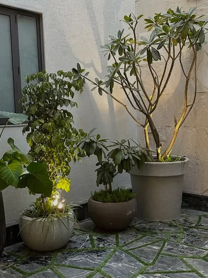 A simple yet elegant courtyard corner. The space is brought to life with a few well-chosen potted plants and clever uplighting, which creates beautiful shadows on the wall at night.