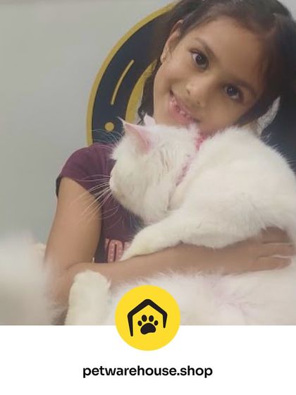 Pet Warehouse - Pet Grooming Services Words from Our Pet Parents photo 47