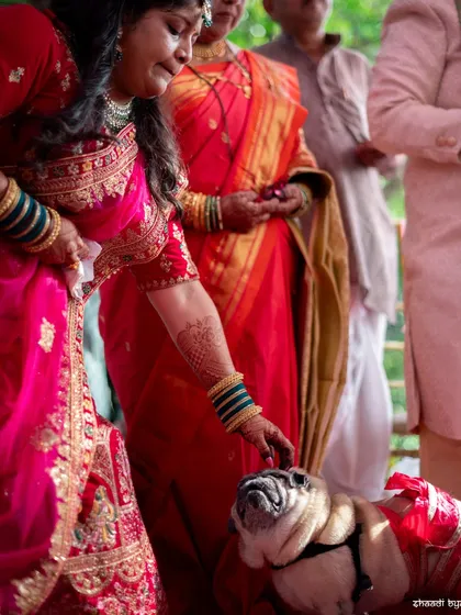 Even the furry family members are part of the wedding. An emotional moment as the bride says goodbye to her beloved bulldog.
