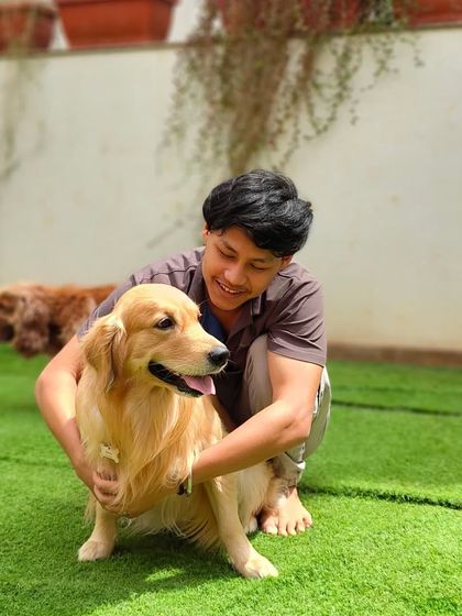 A team member sharing a happy moment with a Golden Retriever in the sun.