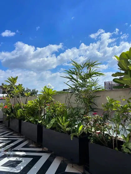 A throwback to this gorgeous terrace makeover in East of Kailash. The black planter boxes filled with lush greenery against the geometric floor create a stunning and modern outdoor living space.