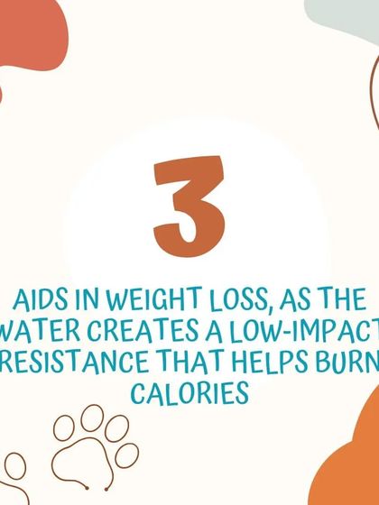 Poochkoo Mutts & Nutts - Dog Training & Behavior Modification Canine Hydrotherapy & Wellness photo 11