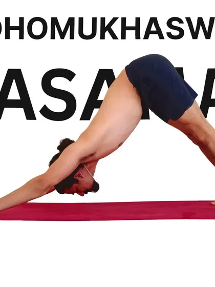 Adho Mukha Svanasana, or Downward-Facing Dog. A foundational pose that strengthens the arms and shoulders while stretching the entire back body.