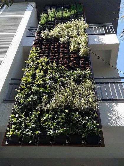 Vertical Gardens: Living Walls of Green photo 10