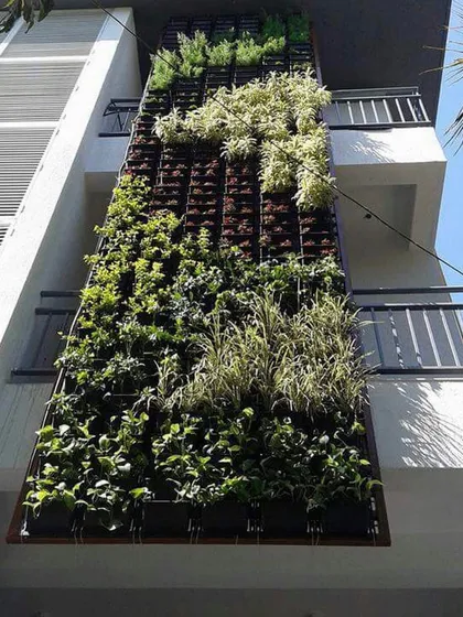 Vertical gardens can be installed on a large scale, even covering multiple floors of a building's exterior. This project shows a partially installed wall, demonstrating the structure and planting process.