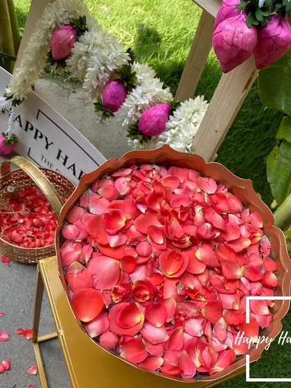 Fresh rose petals in a brass urli bowl, ready to welcome guests and be used in the ceremony. This small, eco-friendly detail adds a touch of natural beauty and tradition to the celebration's entrance.