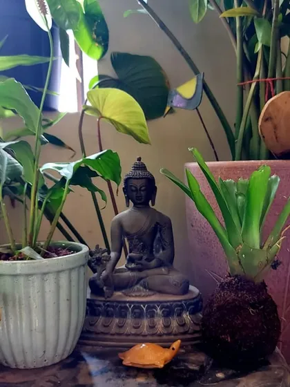 This composition pairs a graceful Anthurium plant with a Buddha statue and a bromeliad kokedama. The combination of different forms and textures creates a balanced and harmonious arrangement perfect for a quiet corner.
