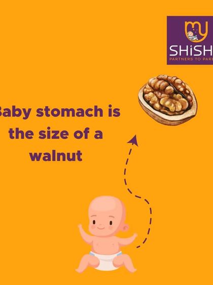 Fun Fact: A newborn's stomach is only about the size of a walnut. This helps parents understand their baby's feeding needs and why they require small, frequent meals.
