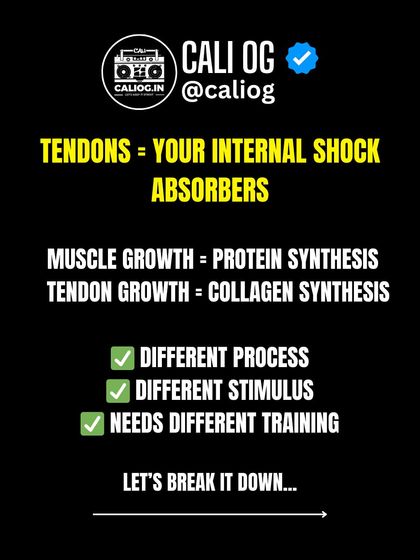Your tendons are your internal shock absorbers, but they need different training than your muscles. This post breaks down the science of tendon growth, which is driven by collagen synthesis, not just protein synthesis.