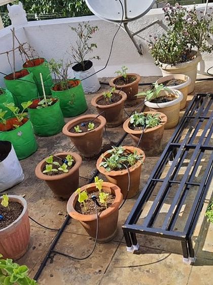 The Garden Hub - Landscape Design & Build Planters & Stands photo 7