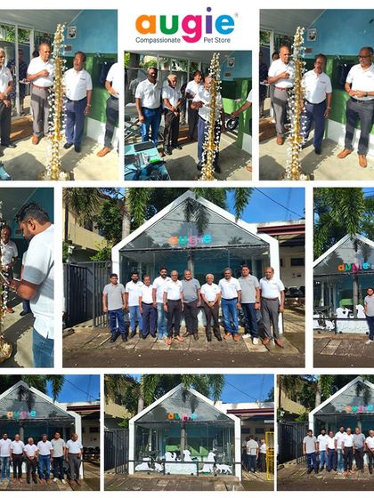 Augie Pets - Pet Grooming Services More from the Augie Pets Family photo 5