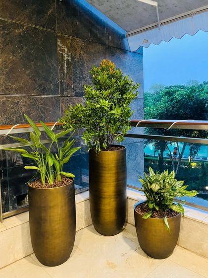 Garden of Joy - Balcony & Terrace Gardens Balcony & Terrace Transformations photo 5