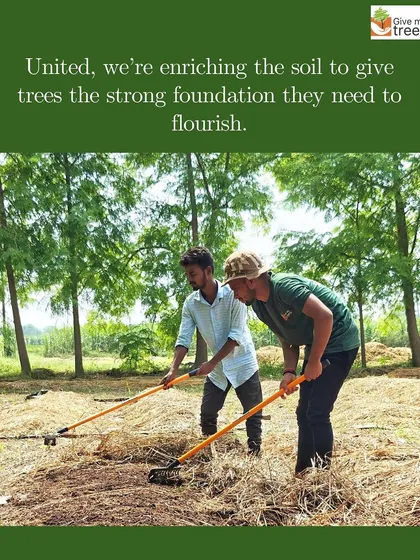 Two of our team members work in unison to enrich the soil. This collaborative effort ensures the land is perfectly prepared to give our trees the strong foundation they need to flourish.
