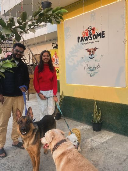 Everyone posing for a family photo. It's great to see a German Shepherd, Labrador, and Spitz all getting along so well.