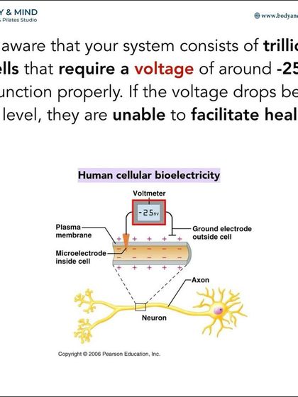 Body & Mind PhysioPilates Studio - Functional Nutrition Guidance The Mind-Body Connection photo 6