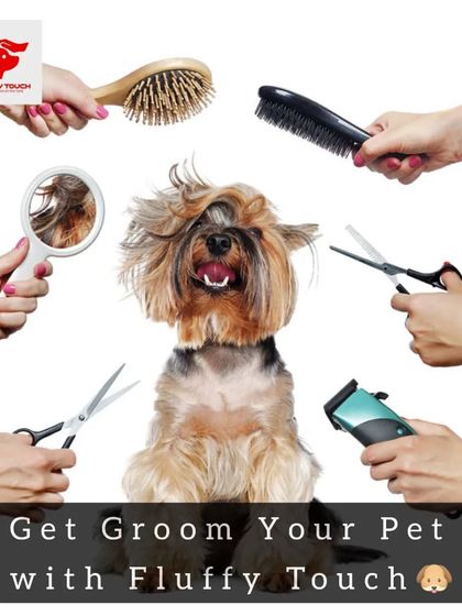 I come equipped with all the necessary tools for a full grooming session, including brushes, combs, scissors, and clippers.